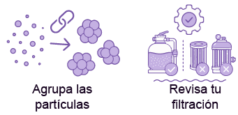 floculantes_para_piscinas_claves_para_elegir